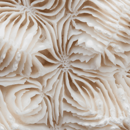 white textured image